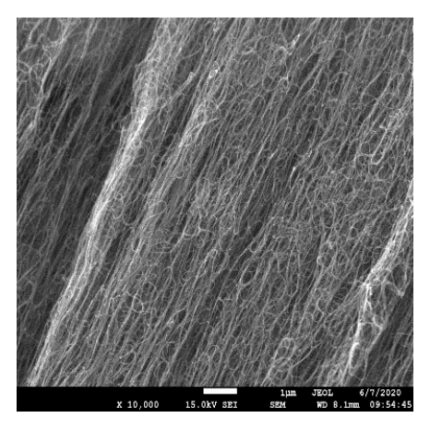 single wall carbon nanotubes