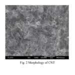 Cnano FT9110 carbon nanotubes, high temperature purified upgrade from FT9100